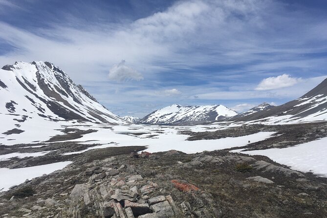Wilcox Pass - Getting to Wilcox Pass