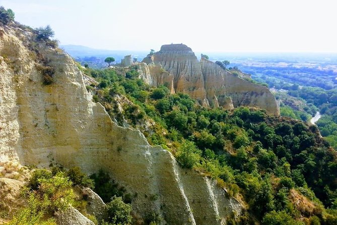 Wild Organs: Grand Landscape, Plants, Geology, Birdsongs - Diverse Flora and Fauna
