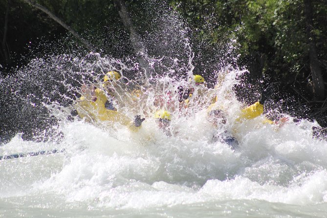 Wild Water Adventures - Customer Feedback and Ratings