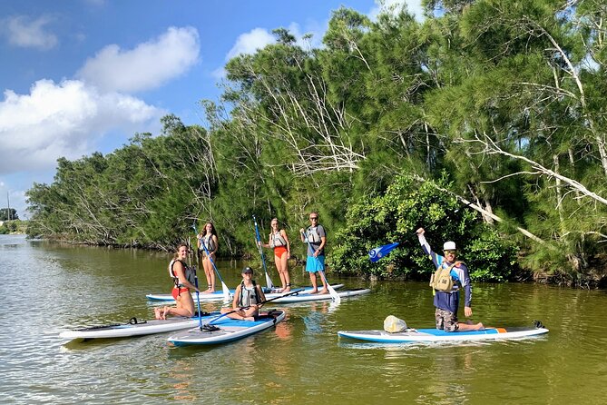 Wildlife Refuge Dolphin, Manatee & Mangrove Kayak or Paddleboarding Tour! - Reviews and Ratings