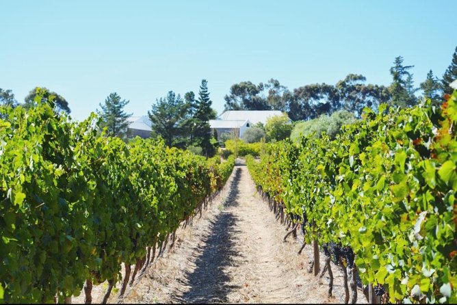 Wine Beer and Biltong Safari - Stellenbosch - Tour Logistics and Details