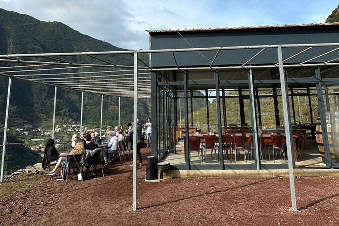 Wine Day Tour & Lunch in the Vineyard - Immersive Wine Tasting Sessions
