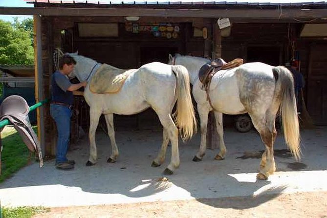 Wine Tasting and Horseback Riding in Montepulciano, in Tuscany From Rome - Horseback Riding Experience