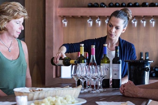 Wine Tour in Nemea From Nafplio - Logistics and Pickup Arrangements