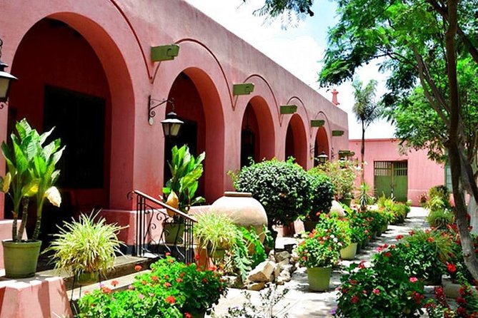 Winery and Pisco Tour in Ica - Guidance and Assistance