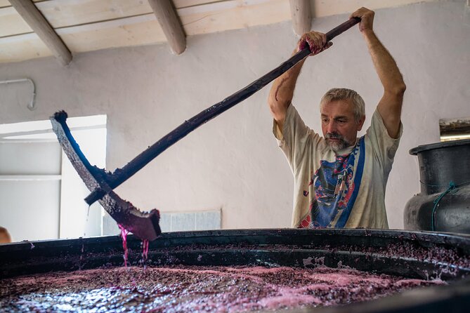 Winery Tour and Tasting in Zakynthos With the Winemaker - Operator and Additional Information