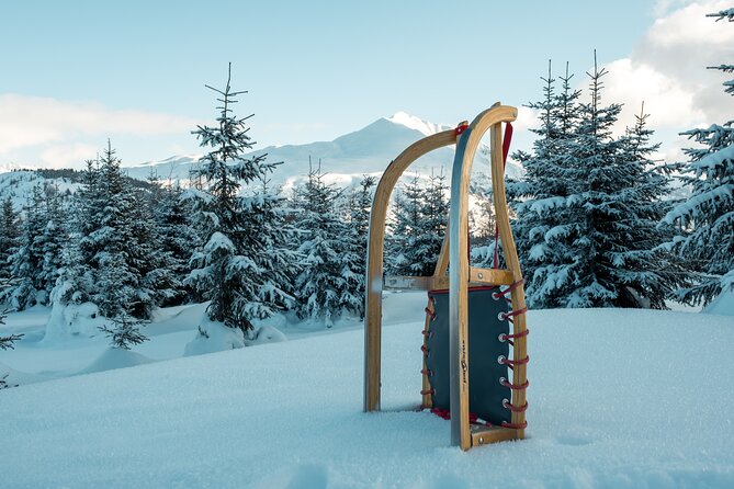 Winter Adventure Day in Mountains: Quad Bikes, Sledge, Wellness - Accessibility and Logistics