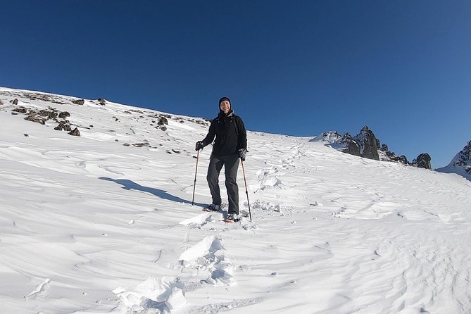 Winter Snowshoeing Adventure - Knowledgeable and Friendly Guides