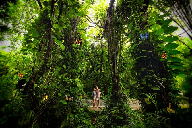 Xcaret Park Day Trip, Transportation and Cultural Night Show - Visitor Experience and Recommendations