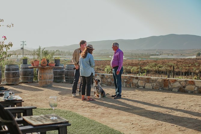 Xecue Wine Tasting in the Guadalupe Valley - Guest Reviews and Ratings