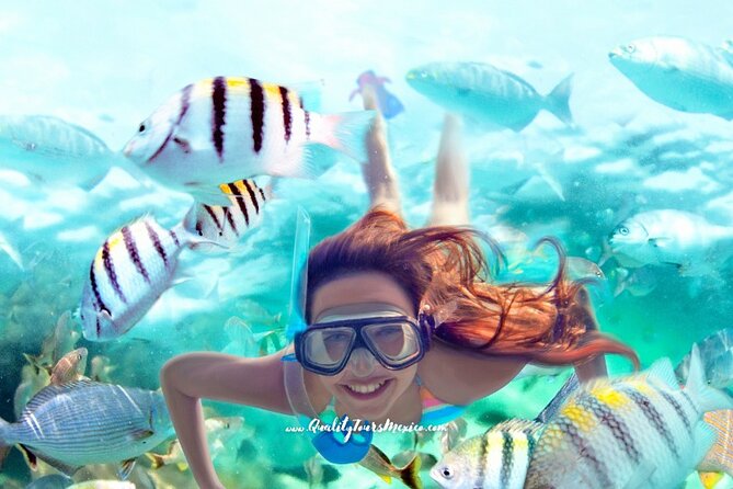 Xelha Water Park With Transportation - Accessibility and Participant Information