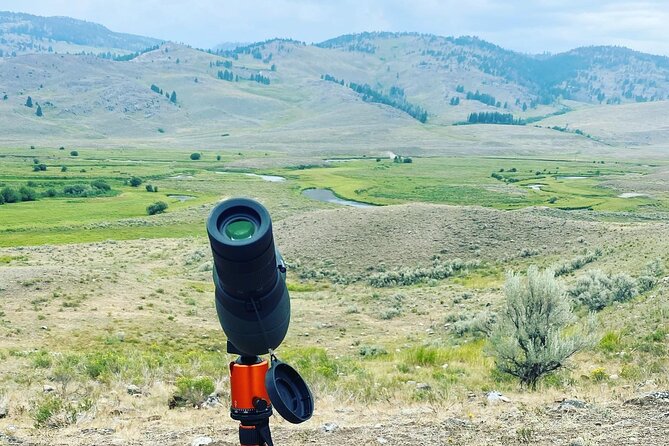 Yellowstone Full-Day Upper Loop With Wildlife Adventure W/Lunch - Yellowstones Geological Wonders
