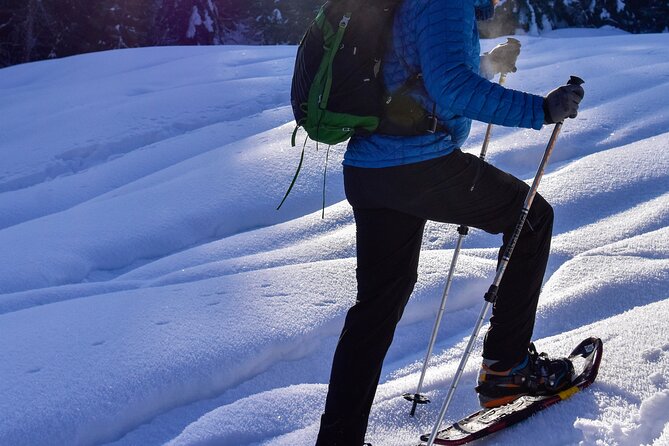 Yellowstone Full Day Winter Tour (With Optional Hike or Snowshoe) - Customer Testimonials