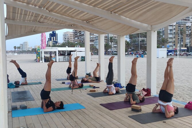 Yoga and Meditation Class in Front of the Sea and the Mountains in Alicante - Participant Reviews