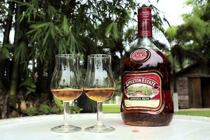 YS Falls & Appleton Rum Estate Combo From Montego Bay - Booking and Confirmation