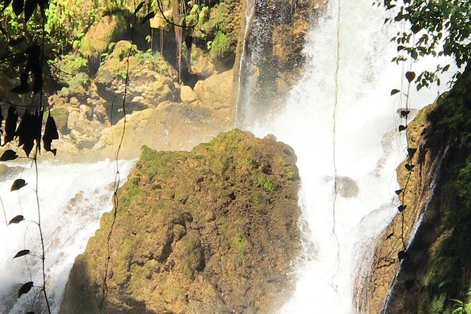 Ys Falls, Floyd's Pelican Bar, Black River Safari - Inclusions