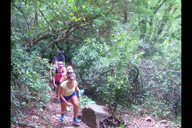 Yungas and El Rey National Park 4x4 Full Day Tour From Salta - Lunch Break and Sights