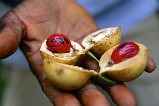 Zanzibar Spice Tour - Photogenic Spice Hotspots