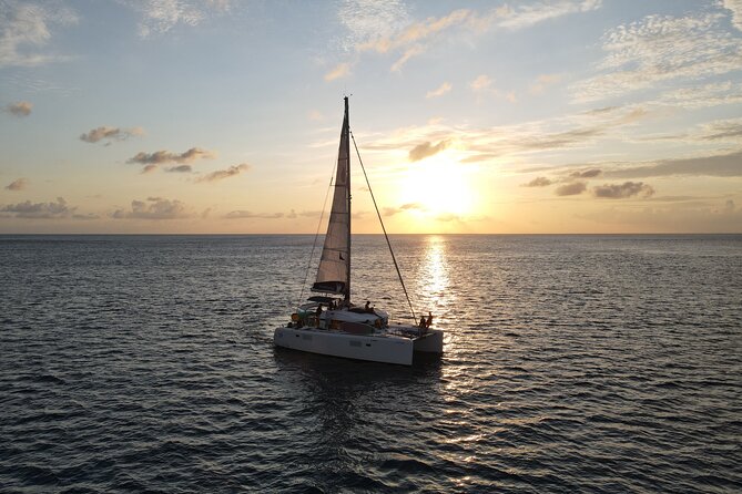 Zodiac RIB Pro Explorer Private Charter 4hr - EL CIELO SANDBAR - Customer Feedback