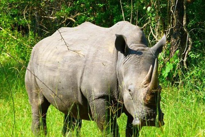 Zziwa Rhino Sanctuary Walking Safari - Important Additional Details