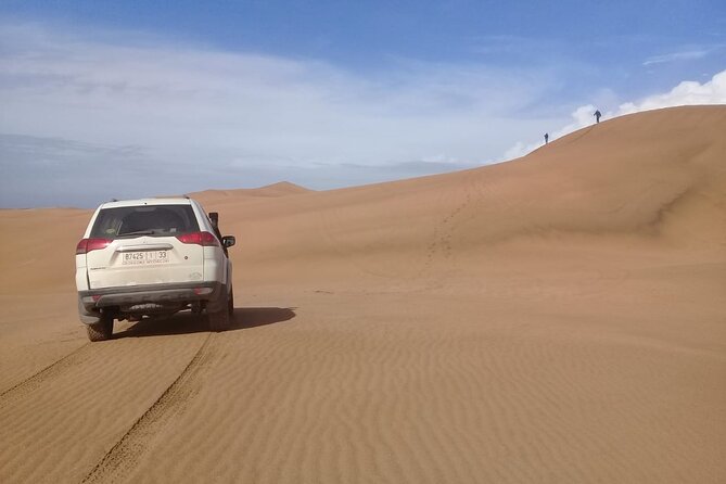 4×4 Wild Nature Private Half Day Trip - Good To Know