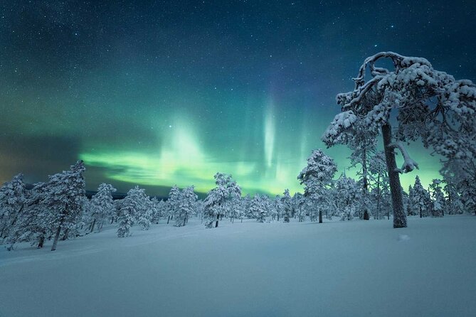 5-Day Aurora Viewing Tour From Whitehorse, Canada - Good To Know