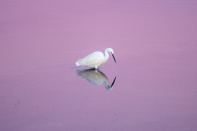 5-Day Photography and Gaze Education Course in Venice - Course Overview