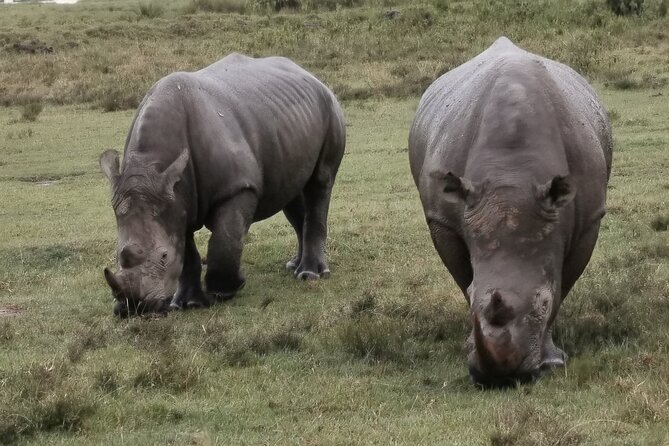 5-Day Safari in Maasai Mara, Lake Nakuru and Naivasha - Maasai Mara: The Jewel of Kenya