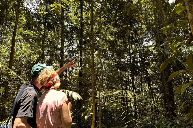 5 Days Embark on an Epic Amazonian Adventure From Quito, Ecuador - Good To Know