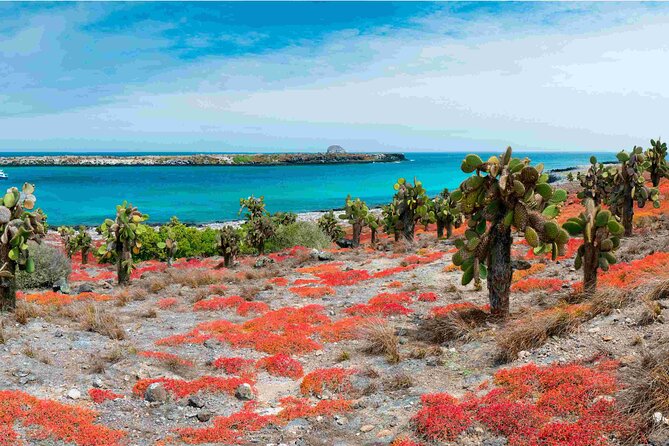 5 Days Galapagos Wildlife Discovery - Exploring Galapagos Islands