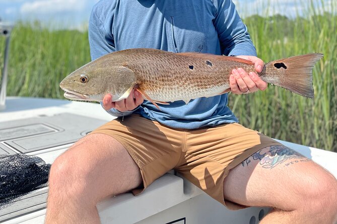 5 Hour Fishing Charter in Charleston Review - Overview of the Tour