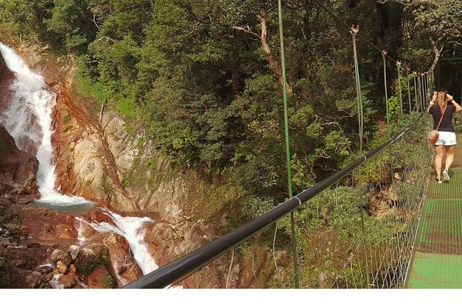 5 in 1 Sloth, Rainforest, Waterfalls, Hanging Bridges, Volcanic Activity Tour. - About Your Stay