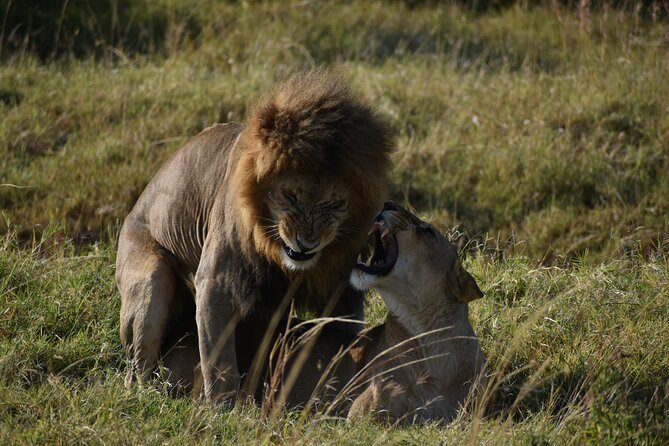 06 Days Kenya LuxuryLodge Safari - Cancellation Policy