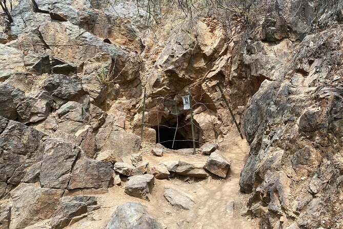 1-2 Hour Jewel of the Creek Private Guided Hiking Tour - Exploring the Sonoran Desert