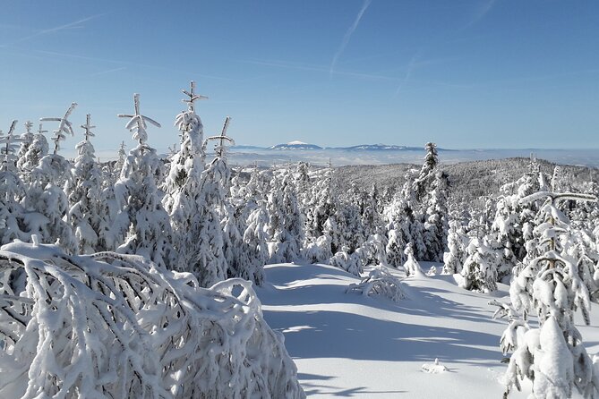 1-Day Private Snowshoe Hike in the Gorce Mountains Near Krakow - Suitability and Fitness Level