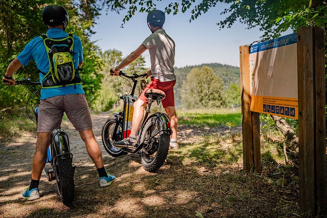 1 Hour Walk - the Gabarres River Route - Traveler Reviews and Ratings