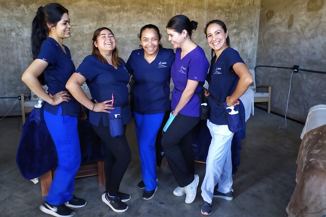 #1 Massage in Ensenada and Mobile to Valle De Guadalupe - Accessibility and Additional Info