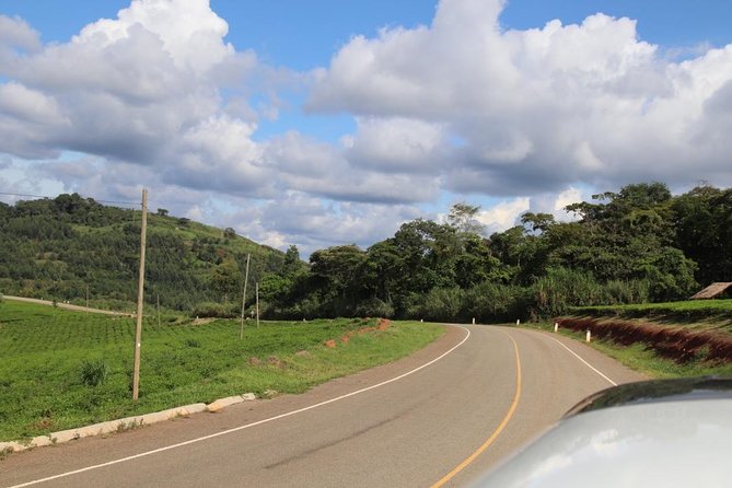 10 Day Western Uganda Budget Wildlife Safari - Chimpanzee Viewing