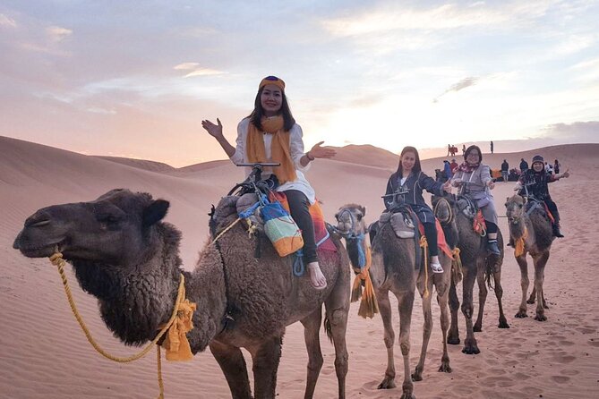 10 Days 9 Nights Luxury Tour of Morocco - Price & Booking