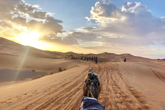 10-Days Luxury Tour to Imperial Cities of Morocco From Tangier - Accessibility Features