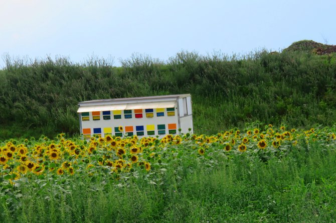 100 Km by Bike Near Bucharest - Booking and Cancellation Policies