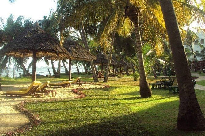 11-Days Kenya Zanzibar Safari - Tour Experience Insights