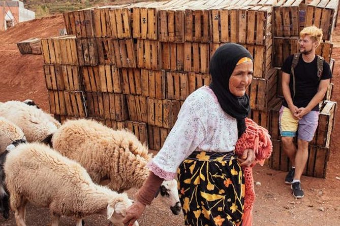 11 Days Morocco Epic Private Tour - Casablanca to Marrakesh via Chaouen & Desert - Booking Process