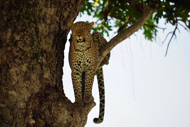 13-Day Private Wildlife Safari Tour of Kenya and Tanzania - Packing Tips