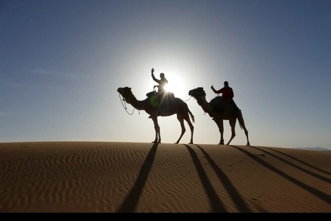 2-Day Guided Tour From Fes to the Desert - Reviews and Experiences