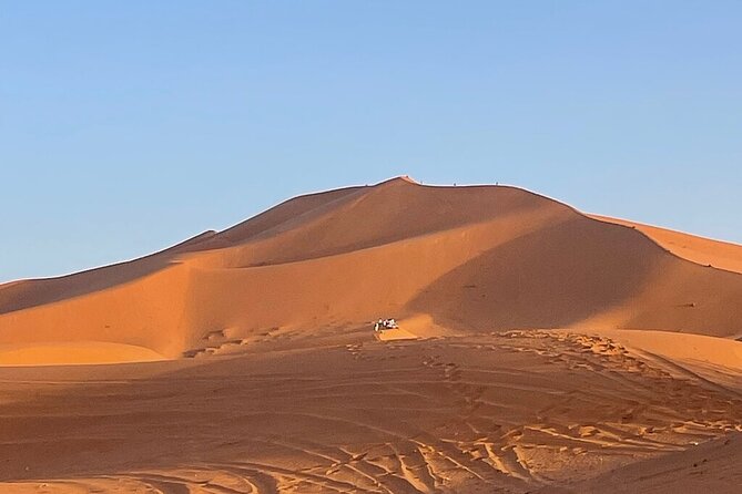2 Day Luxury Desert Tour From Fes to Fes or Marrakech - Traveler Reviews and Ratings