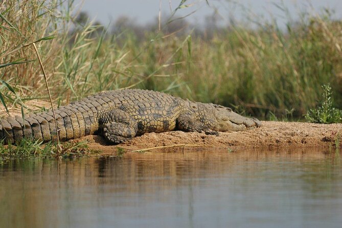2-Day Private Mikumi National Park Tour With Pickup - Safety and Insurance