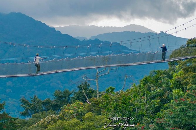 2 Days Chimpanzees Trekking Tour and Canopy Walk Adventure - Booking and Scheduling