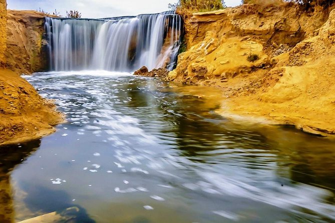 2 Days Desert Safari Trip to Fayoum Oasis From Cairo - Customer Reviews and Experiences