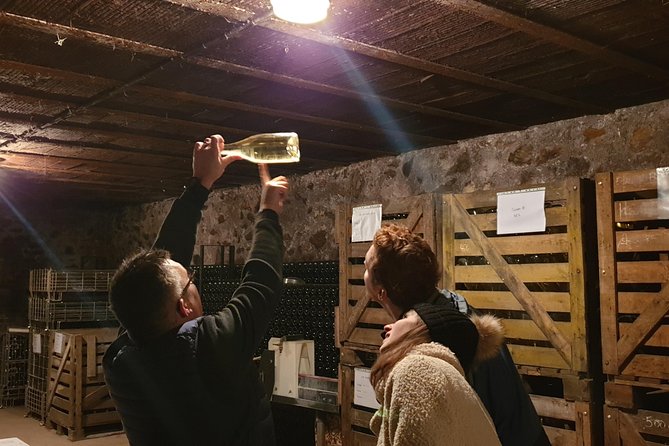 2 Days in Champagne - Cellars, Tastings and Winemakers Meetings - Prestigious Champagne Houses